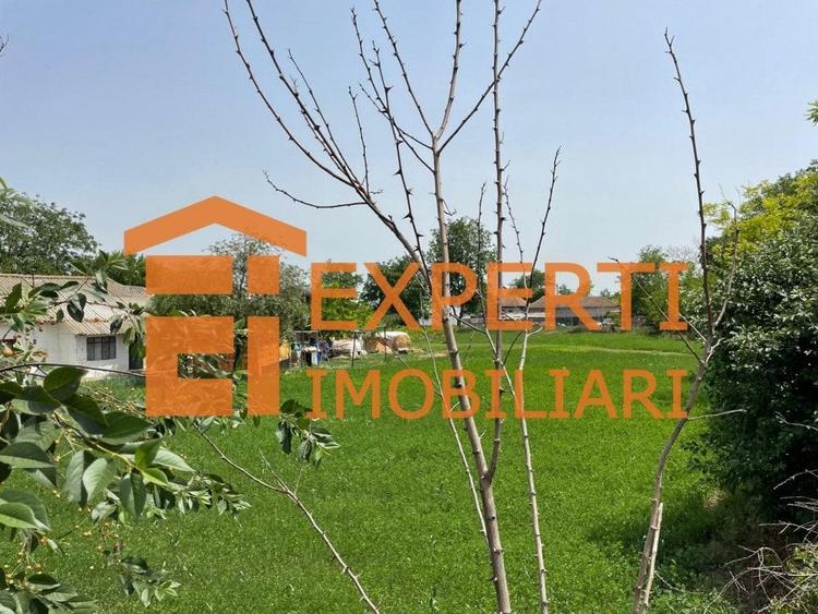 Teren Construcții intravilan de 2581 mp, în Mihail Kogălniceanu