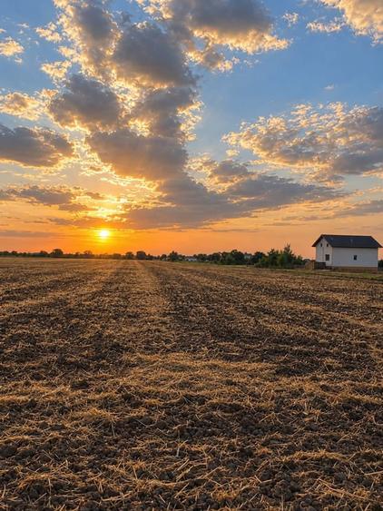 Teren agricol extravilan de 17738 mp, în Bujac