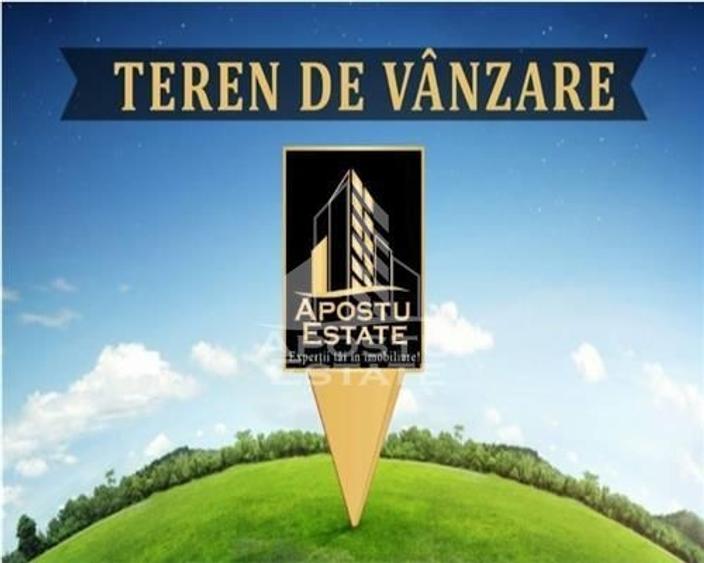 Teren agricol extravilan de 2500 mp, în Miniș