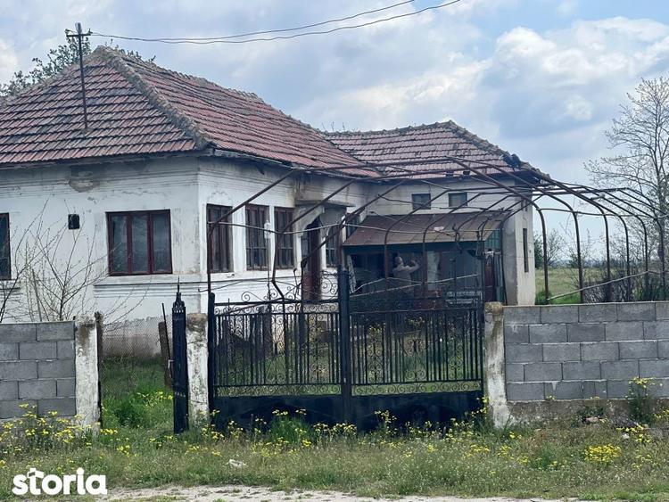 Casa batraneasca, 2504 mp teren, Secui Dolj - 3