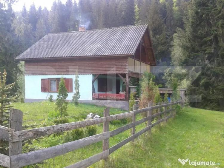 Casa de vacan?a in Piatra Fantanele + 4,5 arii teren - 17