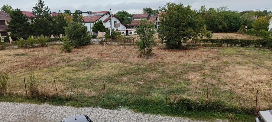 1570 mp Teren de vanzare in Mogosoaia - 10
