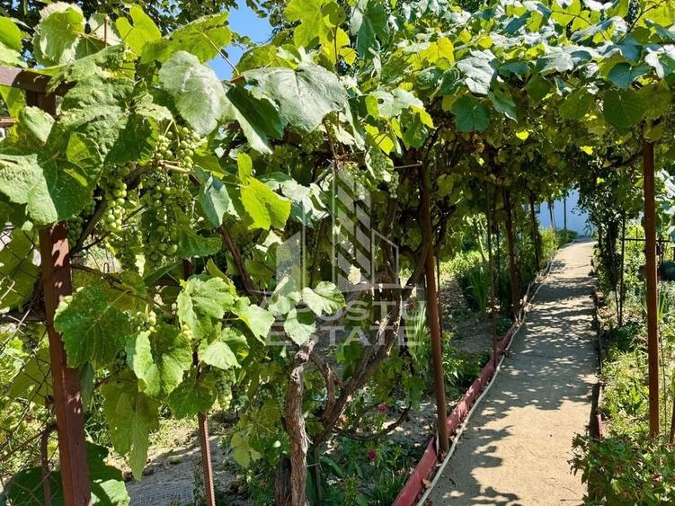 Casa individuala P+1+M,teren 900mp,zona Modern - 23