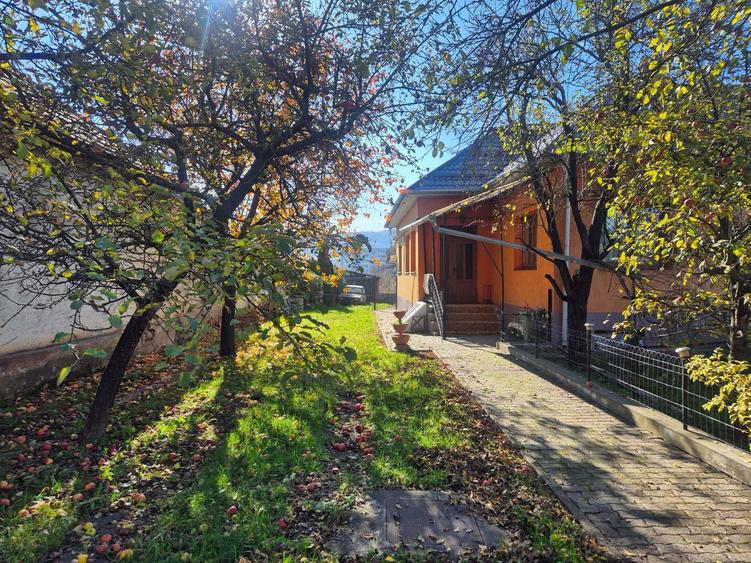 CASA DE VANZARE in FLORESTI pe strada AVRAM IANCU c u teren 1580 MP - 4