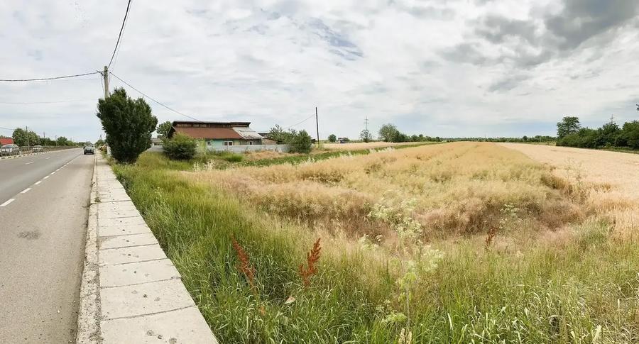 Oportunitate Unică – Teren 5000 mp cu Deschidere DN, Călugăreni - 1