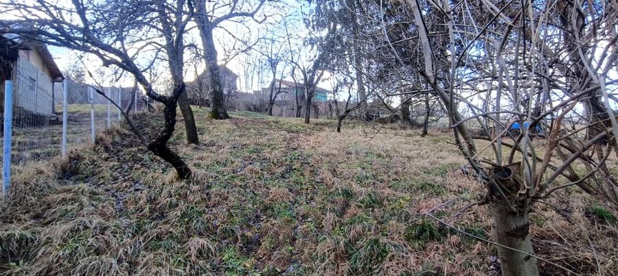Casa batraneasca cu 700mp de teren in zona centrala - 3
