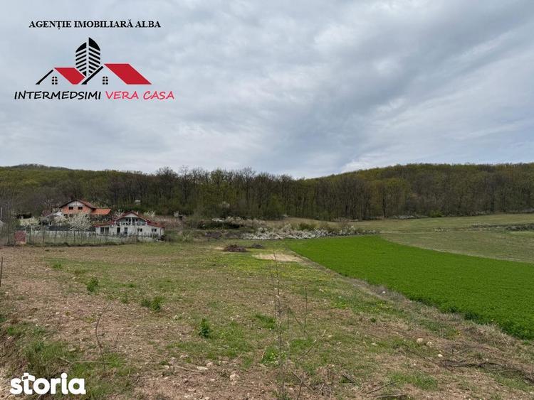 Teren intravilan 833 mp de vanzare in Ampoita Jud Alba - 2