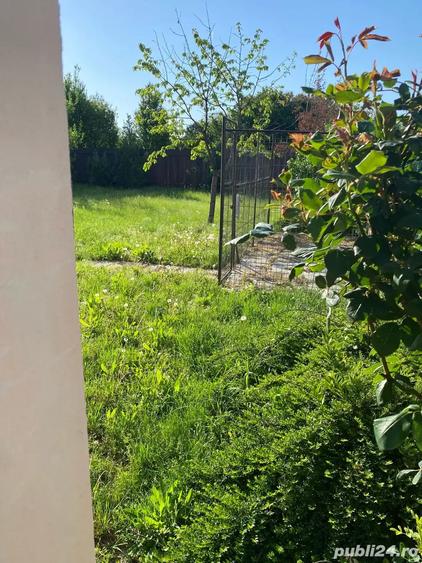 Vand casa Braytim - 1