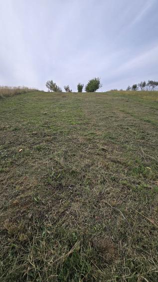 Teren intravilan cu livada, 1500 mp, cu utilitati Cordau - 7