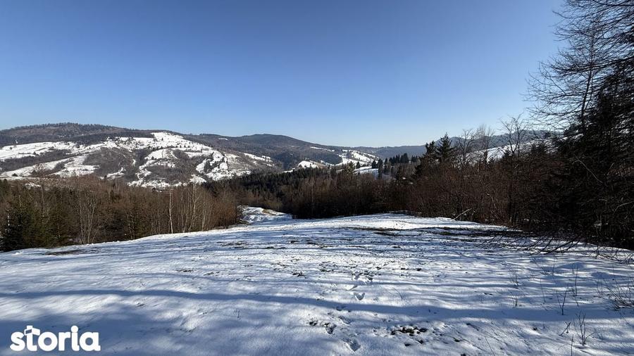 Teren extravilan 2.1 ha Salatruc, Vama - 7