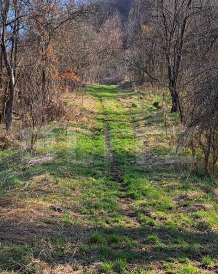 Casa cu o camera, 60 mp, in apropiere de Brad - 3