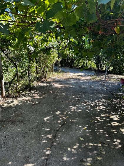 Casa batraneasca - 6