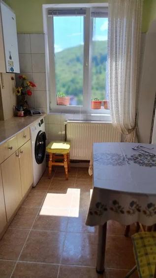 Apartament 3 camere Noua - 3