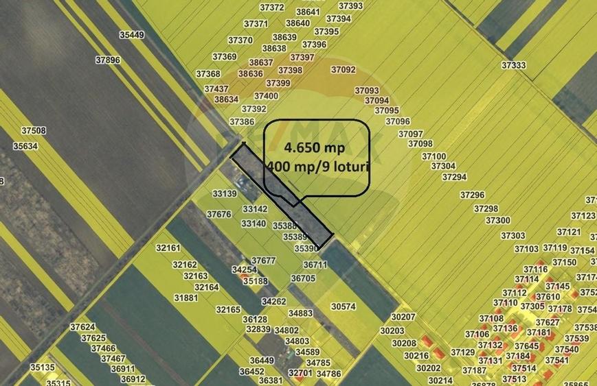 Vanzare Teren lotizat 4,650mp Sabareni / Strada Cereanca - 2