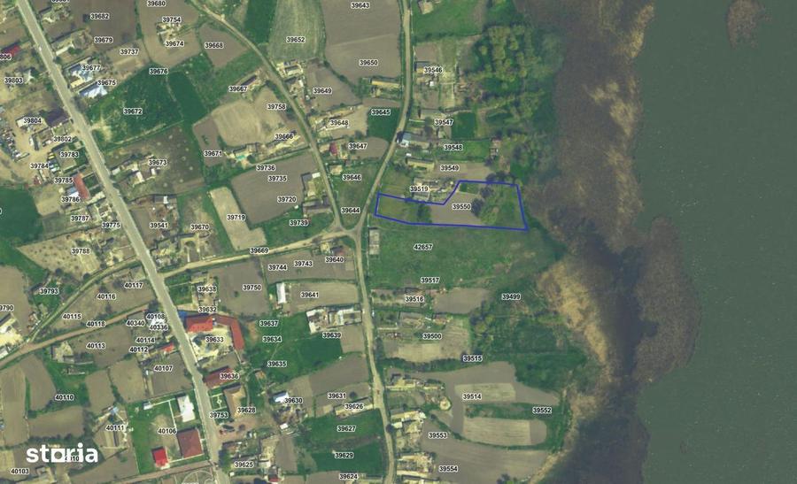 Teren intravilan 4367 mp Salcioara deschidere la lac - 3