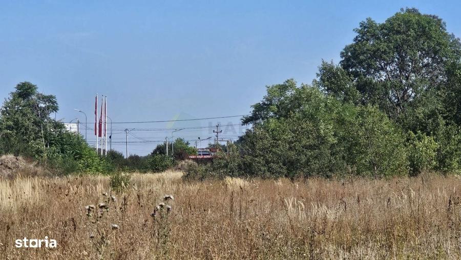 30700mp in Comuna Ciolpani | Extravilan - 2