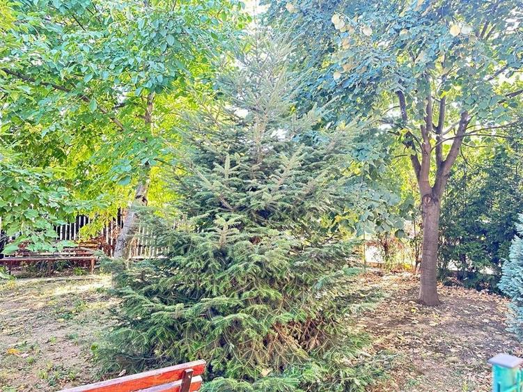 Apartament tip penthouse zona Jetoil Ploiesti - 22