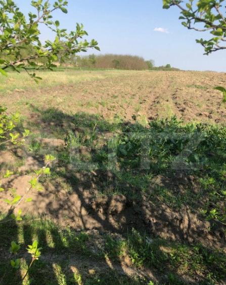 Casa individuala 4 camere, teren 4400 mp , Lazuri - 9