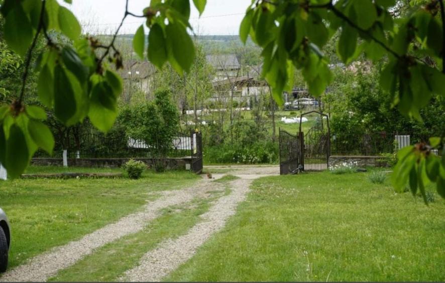 Inchiriez Cabanute Rustice Locatie Linistita - 11