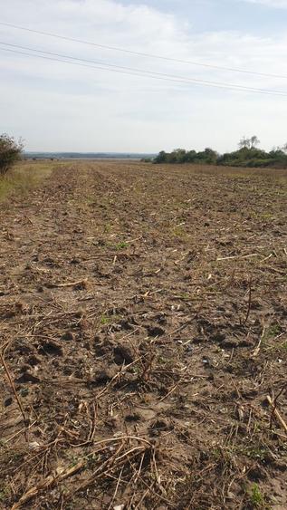 Teren intravilan - 2