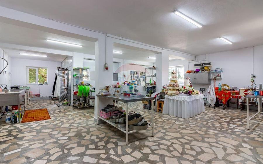 Casa+Laborator+ Teren 12.700 mp + casa de vacanta - Bolin... - 23