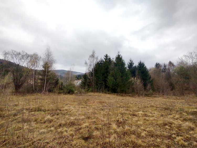 Teren Superb la Munte, Drăguș (BV) – Țara Făgărașului, zonă turistică, cu pârău - 6