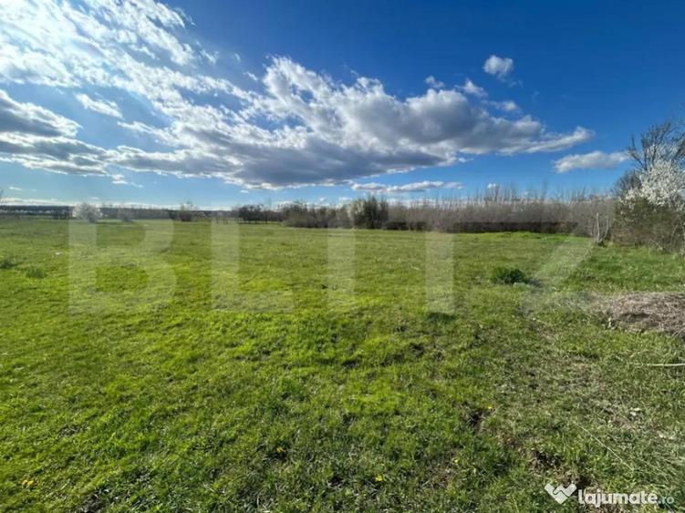TEREN | RANCACIOV | 2000 MP | 700 INTRAVILAN | - 2