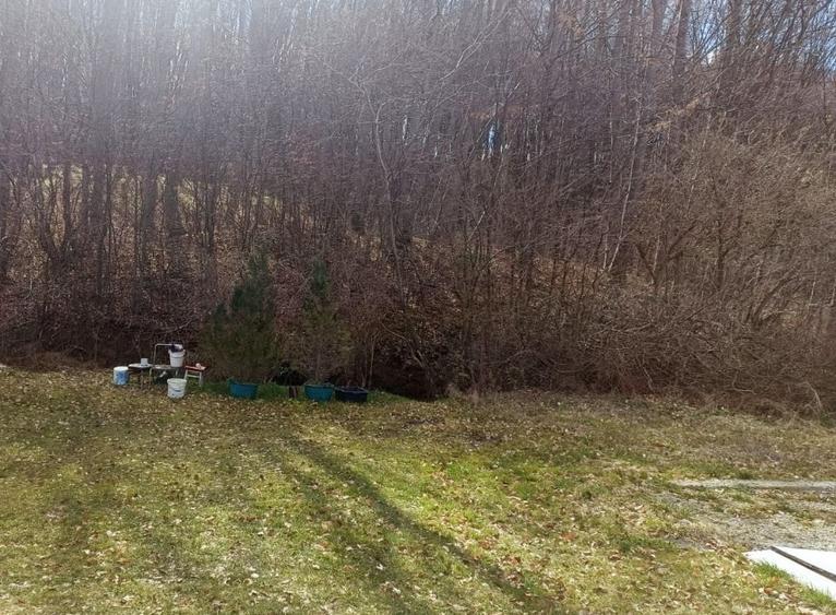 Teren construibil in Faget, 1195 mp, gaz, curent, apa pe teren. Nu necesita PUZ! - 1