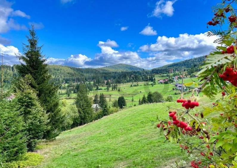 RECO Teren intravilan in Arieseni - 4