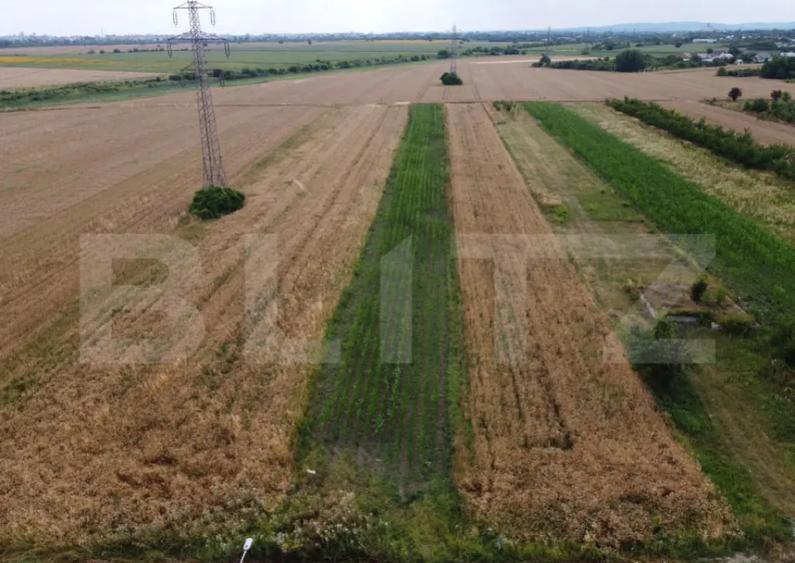 Teren de Vanzare in Razvad-Oportunitate Excelenta! - 1