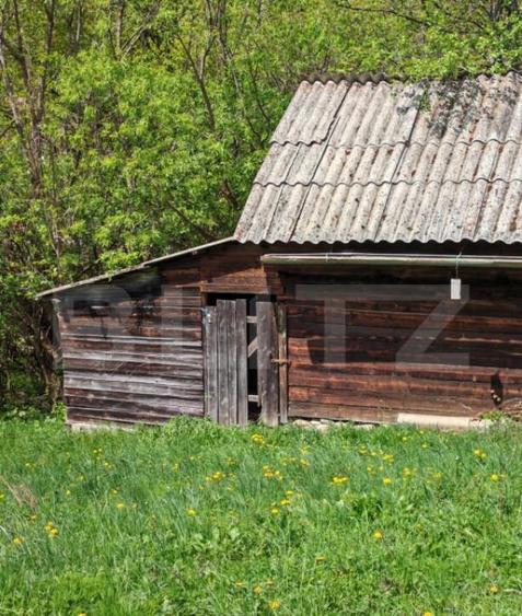 Teren intravilan, 1865 mp, de vanzare in Moieciu - Brasov - 4