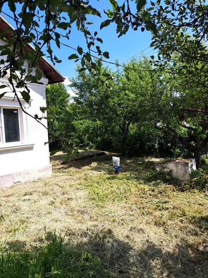 casa pe parter in Hulubesti Dambovita la numai 32000 euro - 18