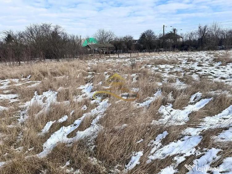 Teren de vanzare 3400 mp Lilieci Bacau - 8