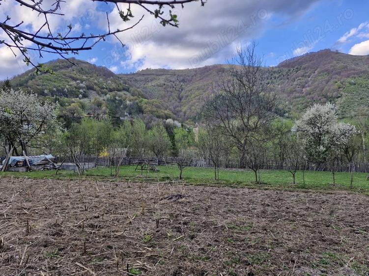 DE VANZARE- Proprietati ?i teren in comuna Malaia,sat Ciungetu(jud.Valcea) - 5