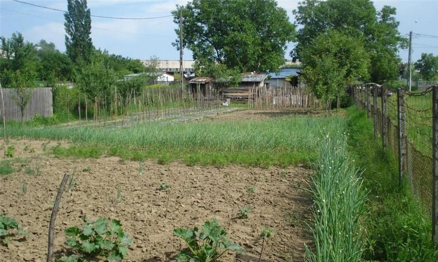 AZURA Imobiliare - Teren Auchan Gavana si Casa Bonus - 5