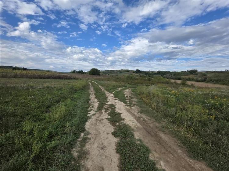 RECO Terenuri Comuna Lazareni - 2