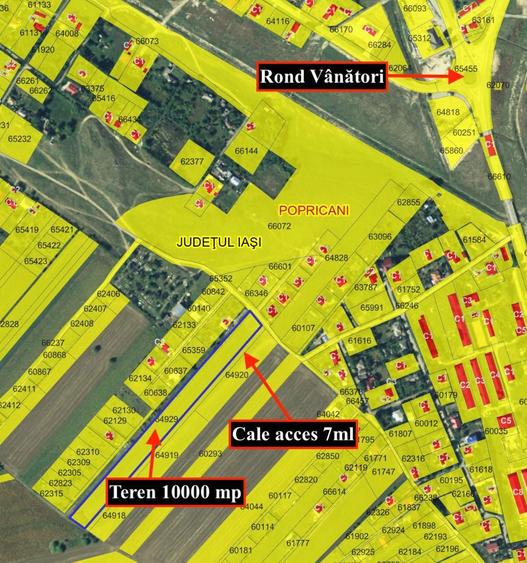 Teren intravilan 10000 mp Vanatori, Popricani - 1