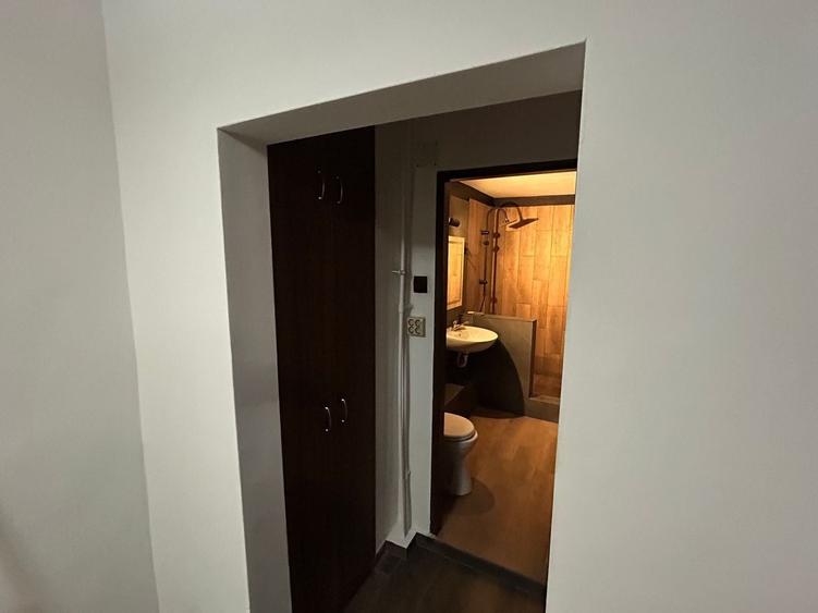 Inchiriere Apartament 2 camere Unirii Zepter - 7