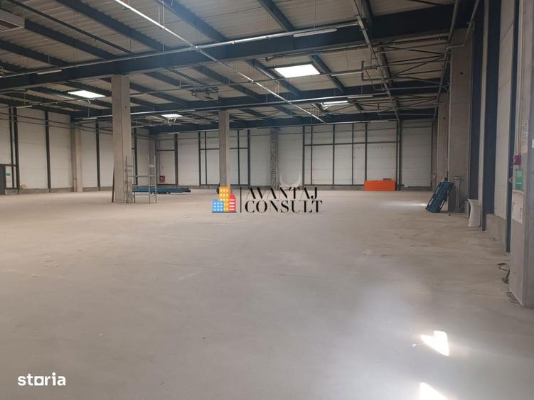 Inchirieri Hala +birouri 2500 mp Militari A1 - 7