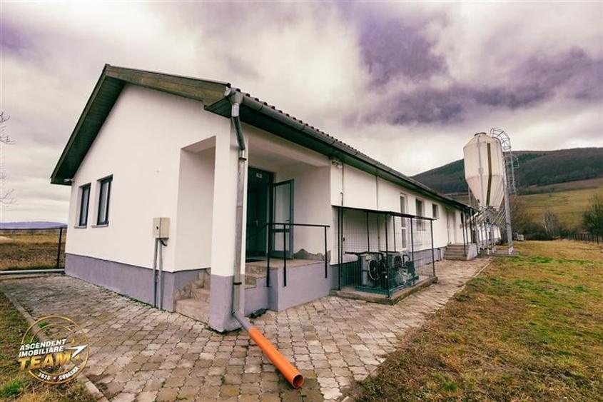 FILM! Ferma de iepuri,Malnas,Covasna: domeniu:comercial/industrial,asset UE - 14