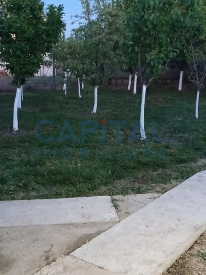 Comision 0%,  Teren - Casa de vacanta - 19