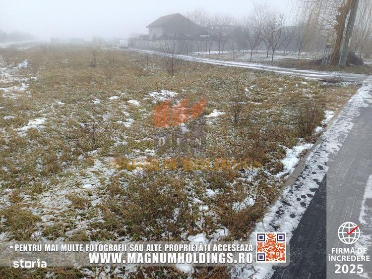 Teren Bradu, 3500 mp, intravilan, drum pe 3 laturi, toate utilitatile - 3