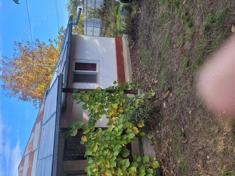 Casa de vanzare in com. Muntenii Buzau , judet Ialomita - 4