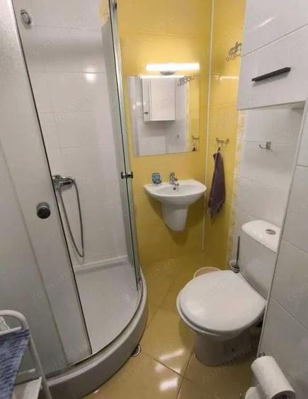 Apartament cu 1 camera in zona Cetatii - 5