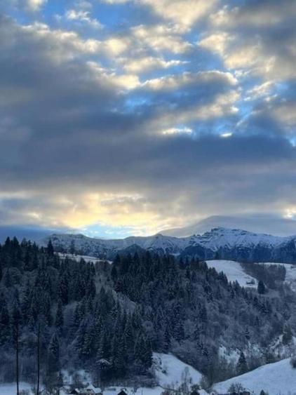 Pensiune de vanzare Moieciu de Jos - 16