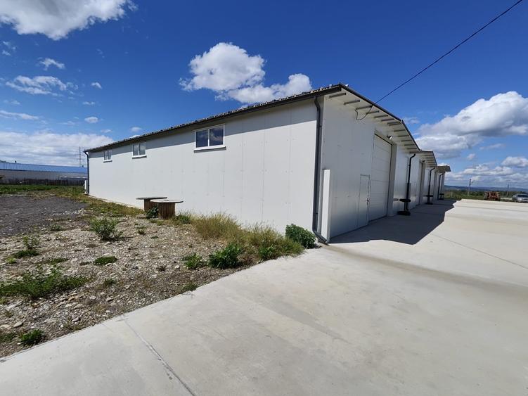 Hala noua depozitare/productie/logistica, zona Prejmer, 1200mp - 4