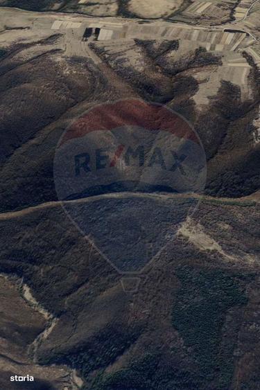 Padure 34 ha Capusu Mare - 1