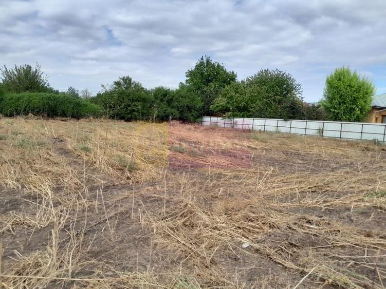 Movilita (IL)-teren de inch. 1800 mp stradal, 30 ml desch, langa Profi - 18