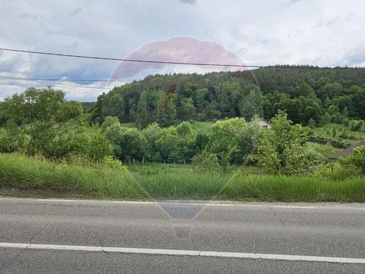 Teren 7,797mp Podis / Calea Moinesti - 3