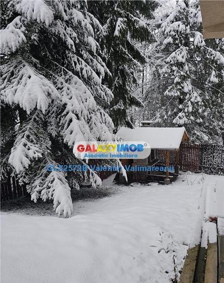 Pensiune Predeal VI 084 - 2